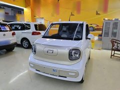 FAW Besturn Xiaoma 222km Dynamic Edition - ფოტო 1