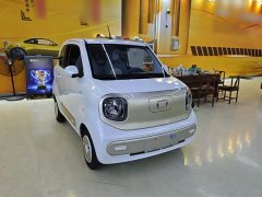 FAW Besturn Xiaoma 222km Dynamic Edition - ფოტო 4