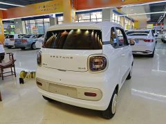 FAW Besturn Xiaoma 222km Dynamic Edition - ფოტო 7