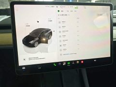 Tesla Model Y 2022 Facelift Rear-Wheel Drive - ფოტო 13