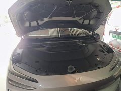 Nio Lerado L60 60kWh Rear-Wheel Drive - ფოტო 20