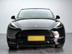 Tesla Model Y Long Range All-Wheel Drive - ფოტო 20