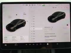 Tesla Model Y Long Range All-Wheel Drive - ფოტო 4