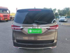 Buick GL8 Land Executive Cabin 652T Luxury - ფოტო 6