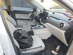 BYD Yuan Pro 401KM Luxury - ფოტო 20