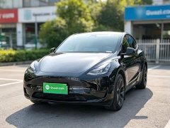Tesla Model Y 2023 Rear-Wheel Drive - ფოტო 1
