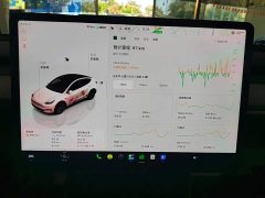 Tesla Model Y 2023 Rear-Wheel Drive - ფოტო 12