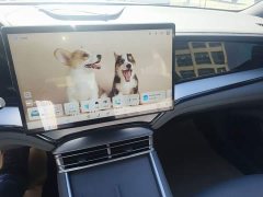 BYD Dolphin 07 DM-i 1.5T 230km Premium Edition - ფოტო 13
