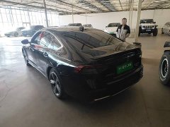 Honda Accord 260TURBO Premium Edition - ფოტო 5