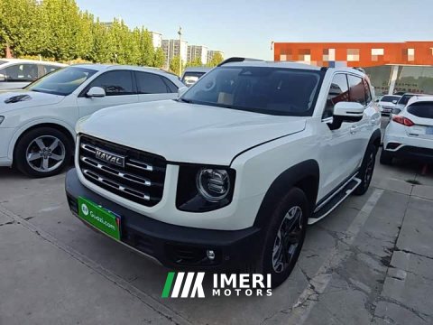 2022 Great Wall Haval Big Dog Dachshund 2.0T DCT Four-Wheel Drive Chinese Rural Dog Edition - ავტომობილი ჩინეთიდან