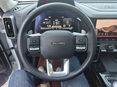 Great Wall Haval Big Dog Dachshund 2.0T DCT Four-Wheel Drive Chinese Rural Dog Edition - ფოტო 11