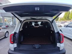 Great Wall Haval Big Dog Dachshund 2.0T DCT Four-Wheel Drive Chinese Rural Dog Edition - ფოტო 19