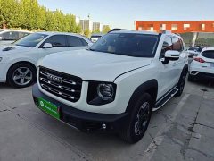 Great Wall Haval Big Dog Dachshund 2.0T DCT Four-Wheel Drive Chinese Rural Dog Edition - ფოტო 2