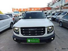 Great Wall Haval Big Dog Dachshund 2.0T DCT Four-Wheel Drive Chinese Rural Dog Edition - ფოტო 3