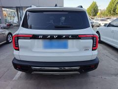 Great Wall Haval Big Dog Dachshund 2.0T DCT Four-Wheel Drive Chinese Rural Dog Edition - ფოტო 6