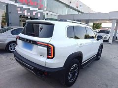 Great Wall Haval Big Dog Dachshund 2.0T DCT Four-Wheel Drive Chinese Rural Dog Edition - ფოტო 7
