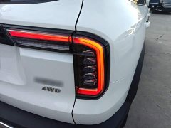 Great Wall Haval Big Dog Dachshund 2.0T DCT Four-Wheel Drive Chinese Rural Dog Edition - ფოტო 8
