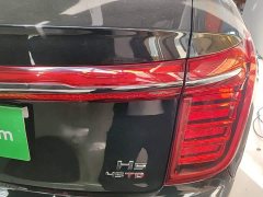 FAW Red Flag H9 2020 2.0T Smart Connected Flagship Comfort Edition - ფოტო 8
