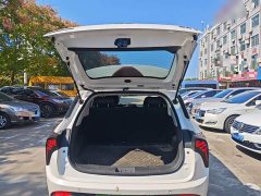 Neta V Long-Range Entertainment Edition Plus - ფოტო 19