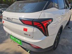 Neta V Long-Range Entertainment Edition Plus - ფოტო 8