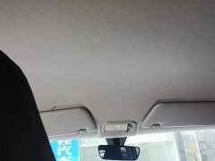 Wuling Hongguang MINIEV Zizai Edition LFP Battery - ფოტო 18