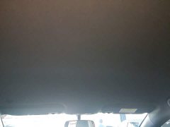 BYD Dolphin 405km Freedom Edition - ფოტო 17