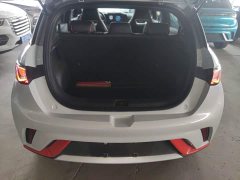 BYD Dolphin 405km Freedom Edition - ფოტო 18