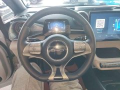 BYD Dolphin 405km Freedom Edition - ფოტო 7