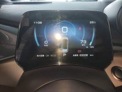 BYD Dolphin 405km Freedom Edition - ფოტო 8