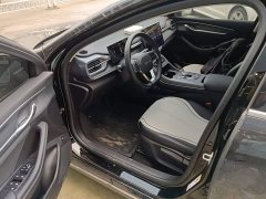 BYD Destroyer 05 Glory Edition DM-i 55KM Luxury - ფოტო 12