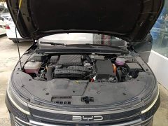 BYD Destroyer 05 Glory Edition DM-i 55KM Luxury - ფოტო 16