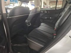 Tank 300 2021 Urban Edition 2.0T Manual - ფოტო 13