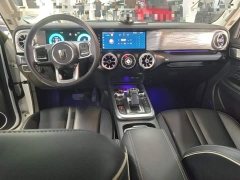 Tank 300 2021 Urban Edition 2.0T Manual - ფოტო 6
