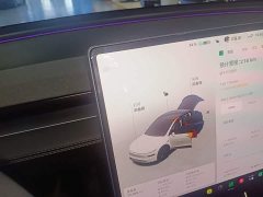Tesla Model Y Rear-Wheel Drive - ფოტო 14