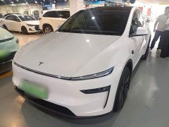 Tesla Model Y Rear-Wheel Drive - ფოტო 2