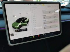 Tesla Model Y Rear-Wheel Drive - ფოტო 12