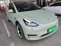 Tesla Model Y Rear-Wheel Drive - ფოტო 4