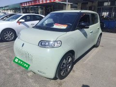 Ora White Cat 401km Flagship Version - ფოტო 1