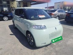 Ora White Cat 401km Flagship Version - ფოტო 4