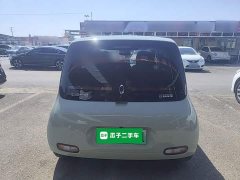 Ora White Cat 401km Flagship Version - ფოტო 6