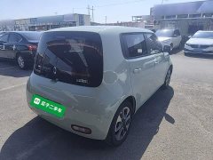 Ora White Cat 401km Flagship Version - ფოტო 7