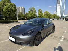 Tesla Model 3 Standard Range RWD Upgrade 3D6 - ფოტო 1