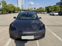 Tesla Model 3 Standard Range RWD Upgrade 3D6 - ფოტო 19