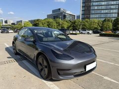 Tesla Model 3 Standard Range RWD Upgrade 3D6 - ფოტო 20