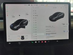 Tesla Model 3 Standard Range RWD Upgrade 3D6 - ფოტო 5