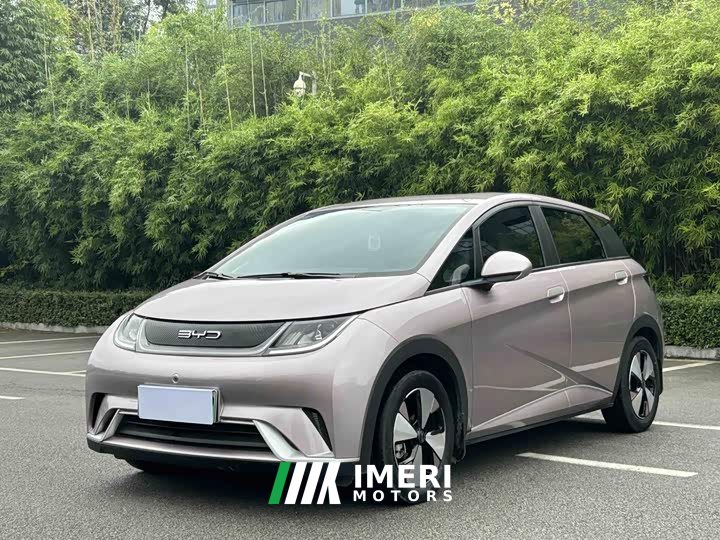 BYD Dolphin 420km Freedom Edition