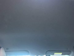 BYD Dolphin 420km Freedom Edition - ფოტო 14