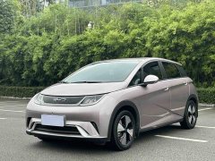 BYD Dolphin 420km Freedom Edition - ფოტო 2