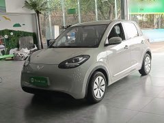 Wuling Binguo 203km Light Enjoy Edition - ფოტო 1
