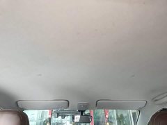Wuling Binguo 203km Light Enjoy Edition - ფოტო 18